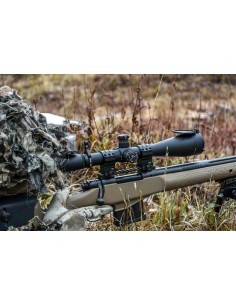 Juego de Anillas WARNE... 2