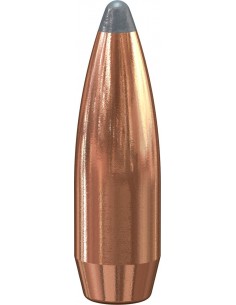 Puntas de bala SPEER... 2