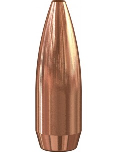 Puntas de bala SPEER Target... 2