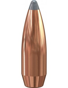 Puntas de bala SPEER... 2