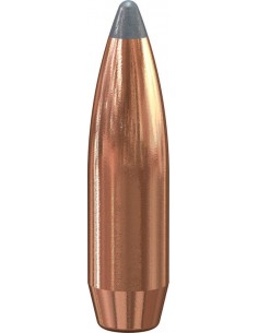 Puntas de bala SPEER... 2