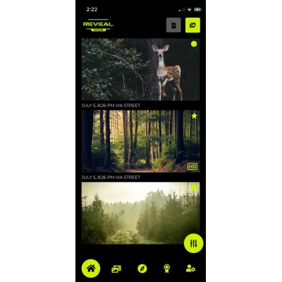 CAJA SEGURIDAD REVEAL X 2